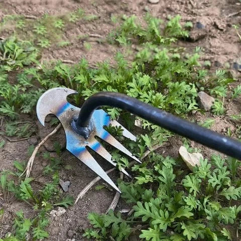 Weeding hoe with claws