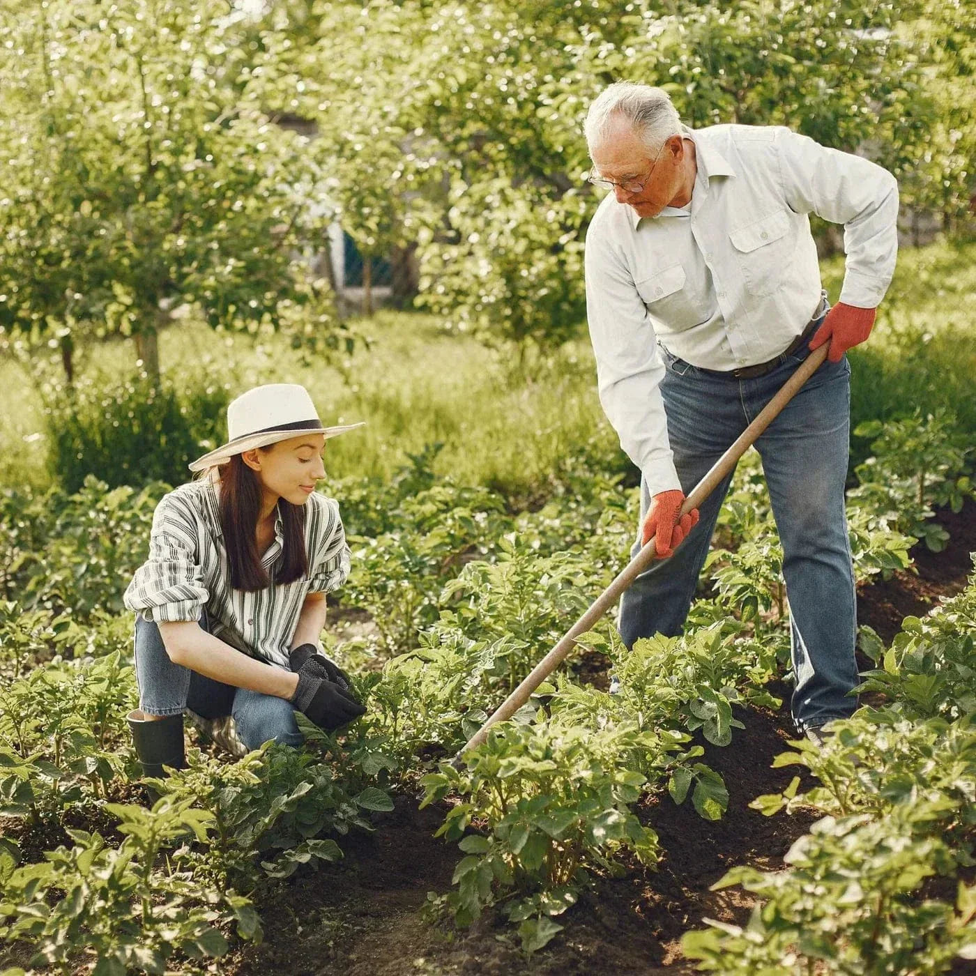 Weeding rake