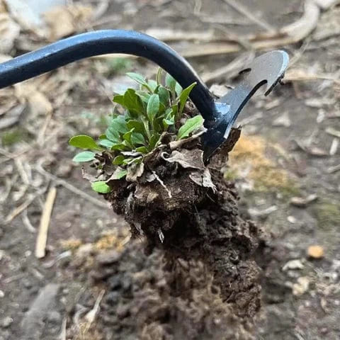 Weeding hoe with claws